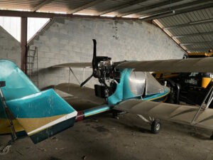 IMG_6948 oetite taille