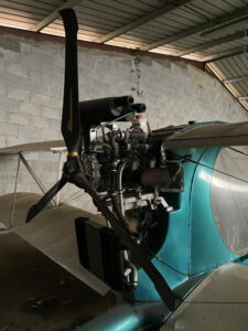 IMG_6951 petite taille.